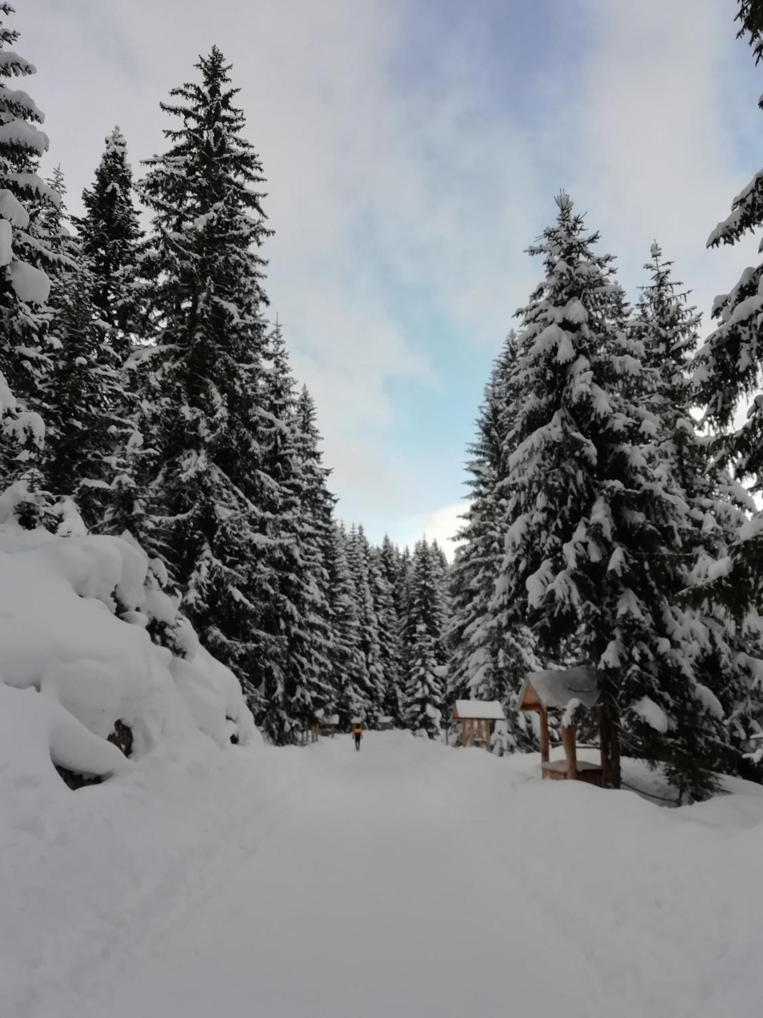 Chalet Kovacevic جابلياك المظهر الخارجي الصورة